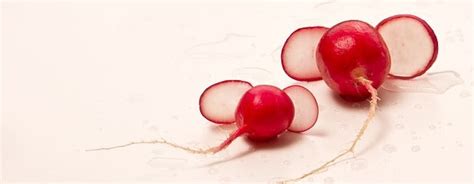 Heirloom Radish Organic Seeds Variety – The Amazing Seeds