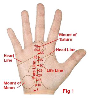 Ten Secrets You Will Not Want To Know About Palmistry Fate Line For Male. | palmistry fate line ...