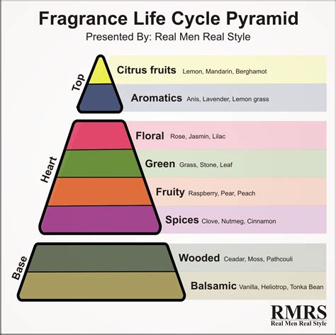 Fragrance Life Cycle Pyramid Infographic