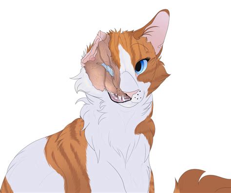 Brightheart by paraqeet on DeviantArt