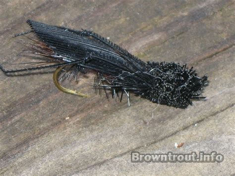 Cricket Fly Pattern – Troutster.com – Fly Fishing Tips and Tactics