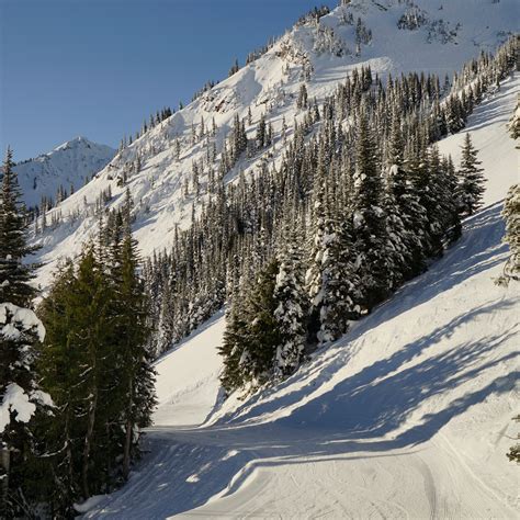 WanderingAway.com : Skiing Crystal Mountain