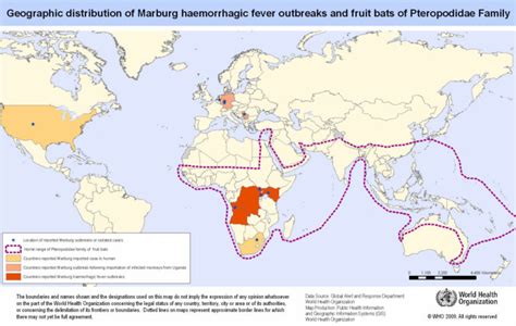 Marburg virus transmission, disease, symptoms, diagnosis & treatment