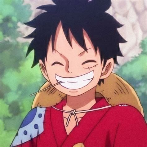 Luffy 🍒 | Manga anime one piece, Popular anime characters, Animal portraits art