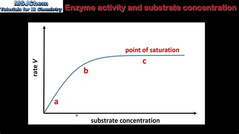 Enzyme Substrate Graph