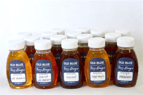 Ultimate Varietal Honey Sampler – Old Blue Raw Honey