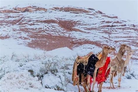 Photos: Snow Falls in Africa's Sahara Desert as Temperature Plummets to ...