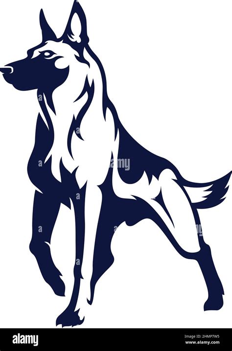 Belgian malinois outline hi-res stock photography and images - Alamy