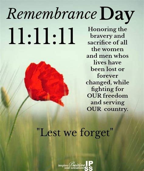 Powerful Remembrance Day Quotes to Honor the Fallen