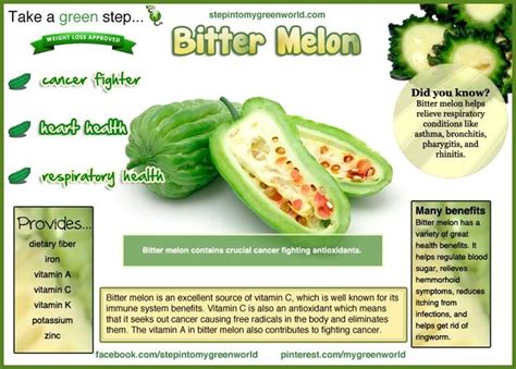 Lose weight simple: the benefits of bitter melon