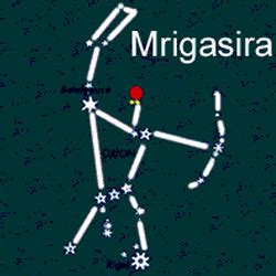 Mrigasira Nakshatra - Best and No. 1 Astrology Consultation in India