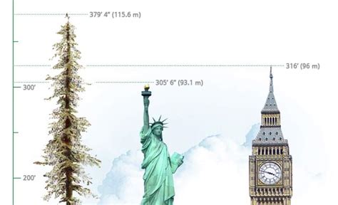 Hyperion Tree Tallest