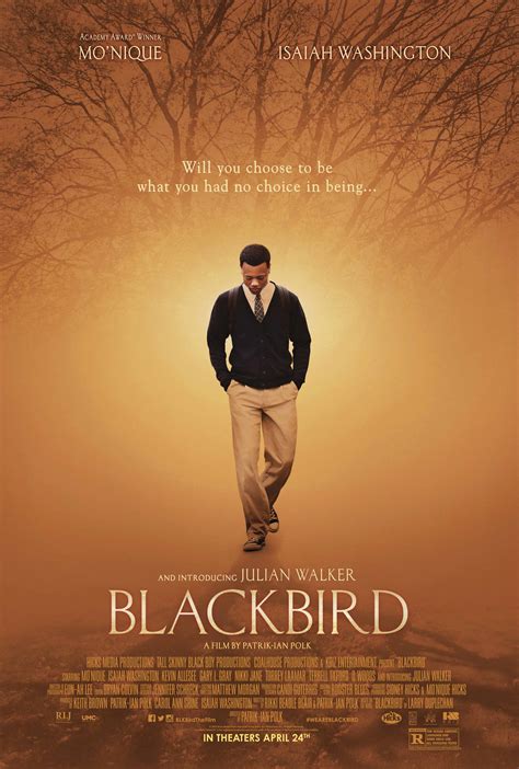 Tastedive | Movies like Blackbird