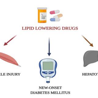 Adverse effects of conventional anti-hyperlipidemic drugs | Download ...