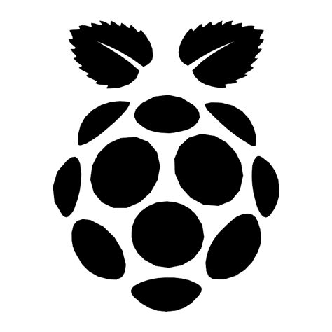 Raspberry Pi Logo Icon
