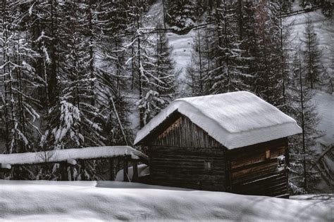 Hut Cabin Snow Forest Winter Royalty Free Photo