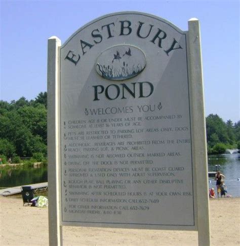 Hit the Beach at Eastbury Pond in Glastonbury | Glastonbury, Pond, Beach