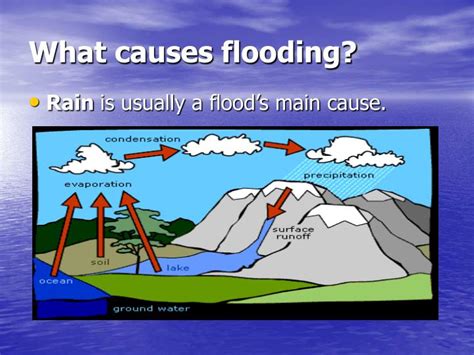 PPT - FLOODING PowerPoint Presentation - ID:4095337