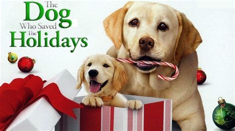 The Dog Who Saved the Holidays 2012 Film - YouTube