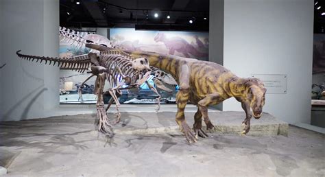 Herrerasaurus - A-Z Animals