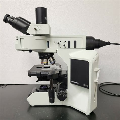 Olympus Microscope BX43 with Fluorites, Fluorescence, & X-Cite Lite Illumination | Microscope ...