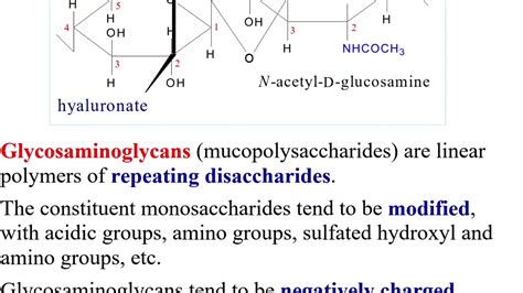 Glycosaminoglycans - YouTube