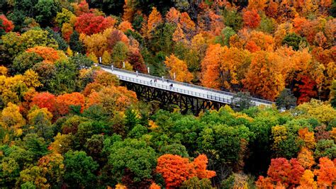 NY fall foliage map: Where to look for color this weekend.