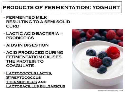 Classical Biotechnology: FERMENTATION