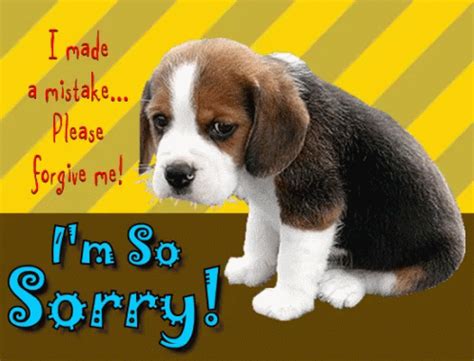Im So Sorry Sad Puppy GIF – Im So Sorry Sorry Sad Puppy – discover and share GIFs
