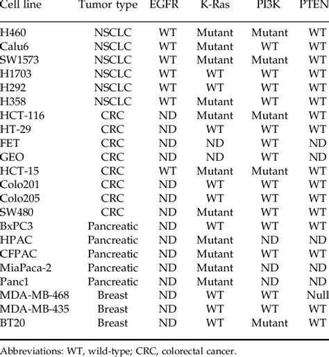 Mutation status EGFR, K-Ras, PI3K, and PTEN in 22 tumor cell lines ...