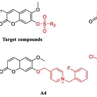 Chemical structures of scopoletin (A1) and its synthetic analogues (A2 ...