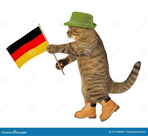 Cat with german flag stock image. Image of national - 121798909