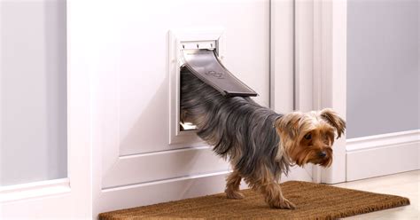 Flap Doors For Dog - kobo building