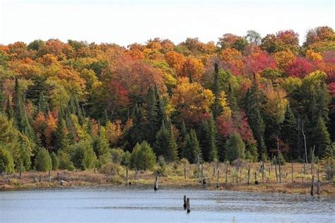 23 places to see spectacular fall foliage in Upstate NY ...