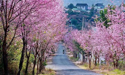 Vietnam weather in February: Guide to an ideal itinerary