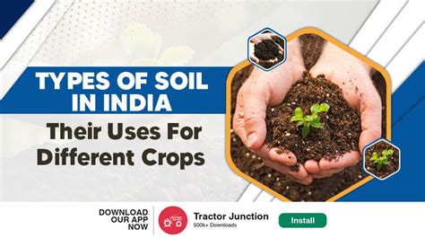 Types of Soil In India And Their Uses For Different Crops