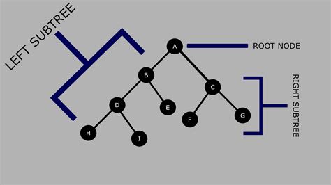 draw binary tree using inorder preorder - Robinson Yourat