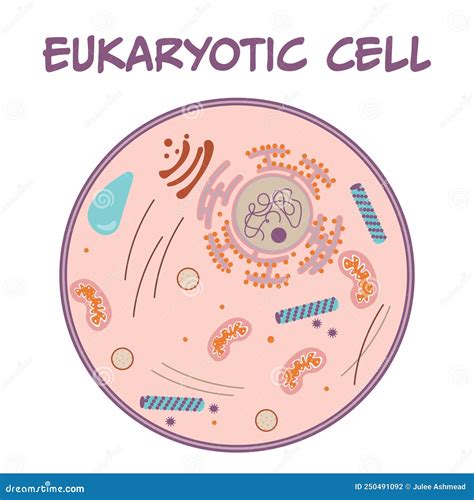 Eukaryote Clipart