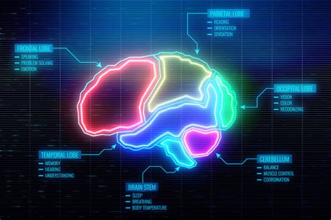 Creating the 10-Second Brain Interface