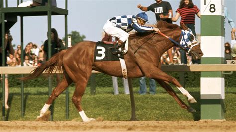 Famous racehorses: 15 of the best of all time | Horse & Hound