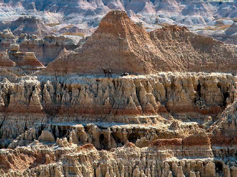 North Dakota Wildlife and Nature Information