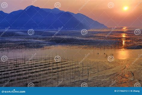 Fujian Xiapu Beach Sunrise,China Stock Photo - Image of xiapu, sunrise: 21766212