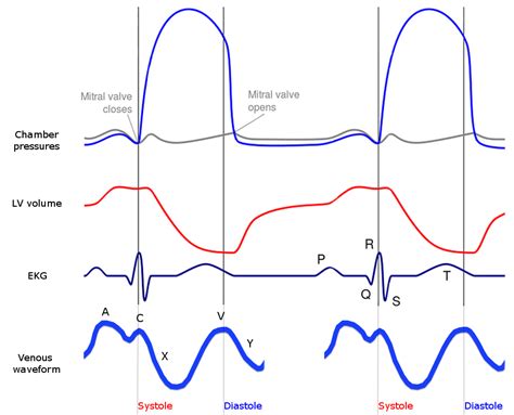 Jugular Venous Pressure (JVP) | Measurement | Waveforms | Geeky Medics