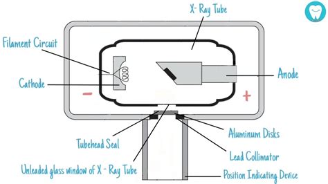 dental x ray machine parts and functions - Ludivina Paradis