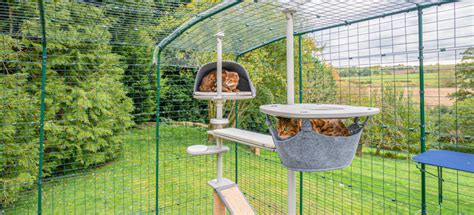 Catios & Outdoor Cat Enclosures | Omlet