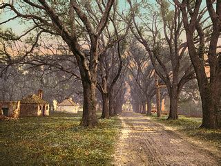 Hermitage plantation, Savannah, Georgia, 1900 | 53522. The H… | Flickr