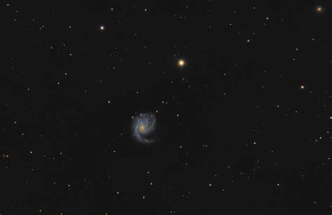 M99 or Coma Pinwheel galaxy from red zone - DSLR, Mirrorless & General-Purpose Digital Camera ...