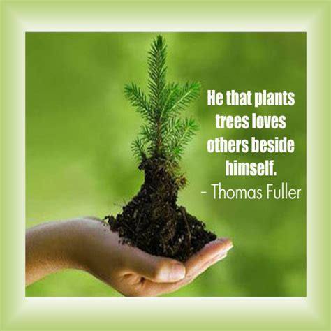 Funny Quotes About Trees. QuotesGram