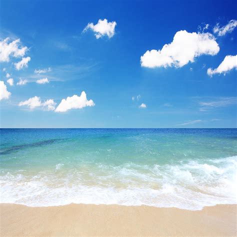 Tropical Beach Ocean Waves