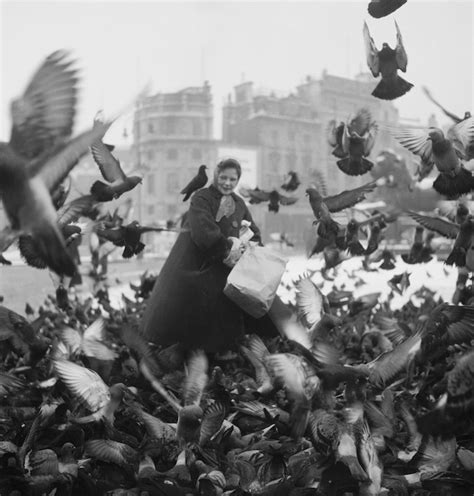 Fascinating Photos Show London's Pigeons Through The Years | Londonist